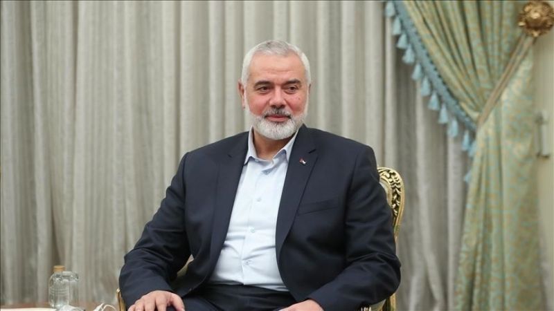 الوسط نيوز