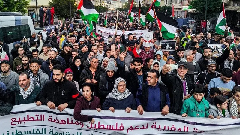 الوسط نيوز