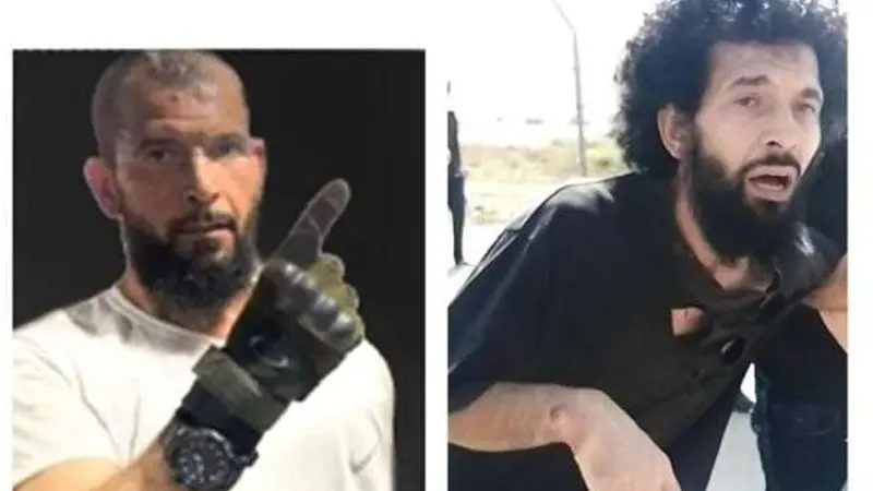 الوسط نيوز