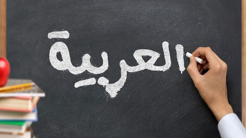 الوسط نيوز