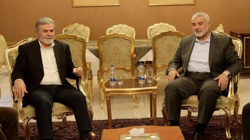 الوسط نيوز