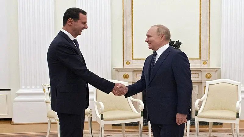 الوسط نيوز