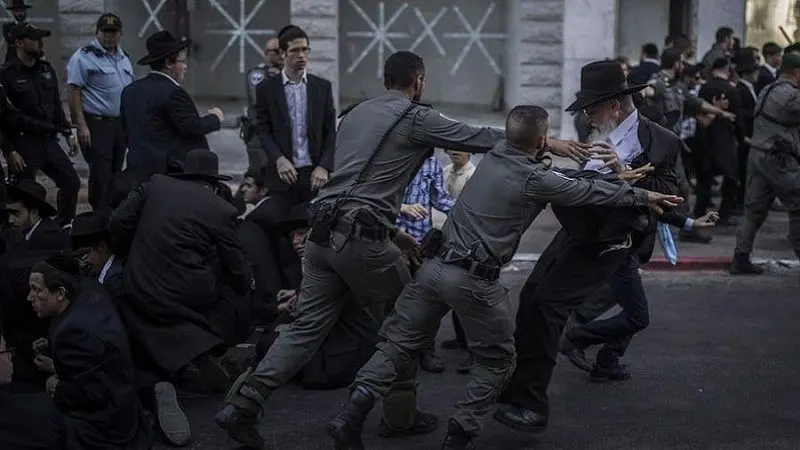 الوسط نيوز