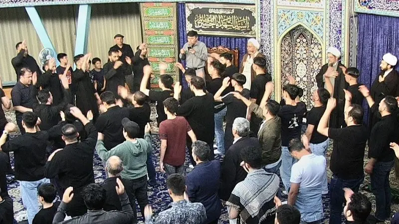 الوسط نيوز