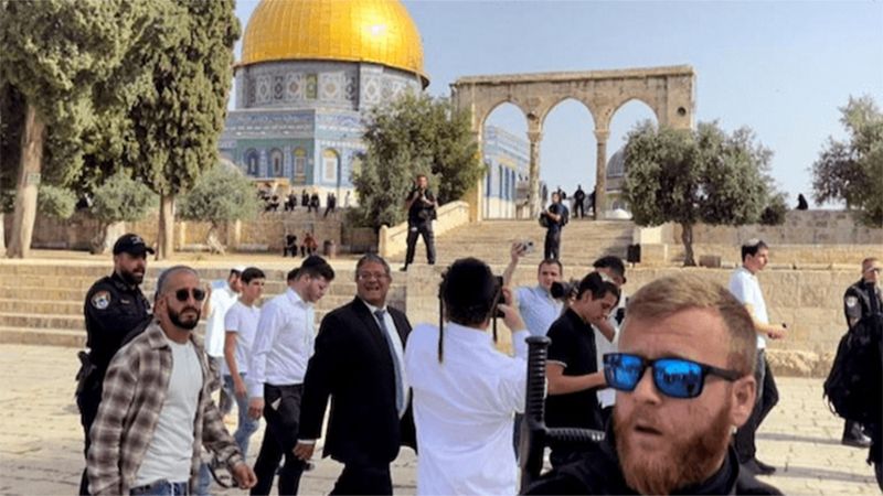 الوسط نيوز