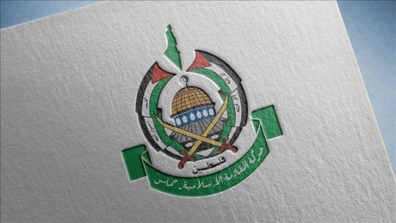 الوسط نيوز