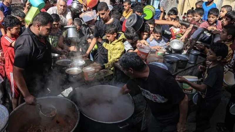 الوسط نيوز