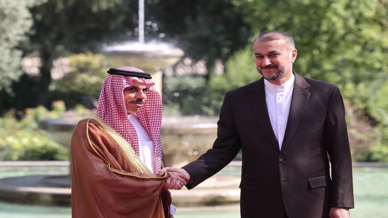 الوسط نيوز