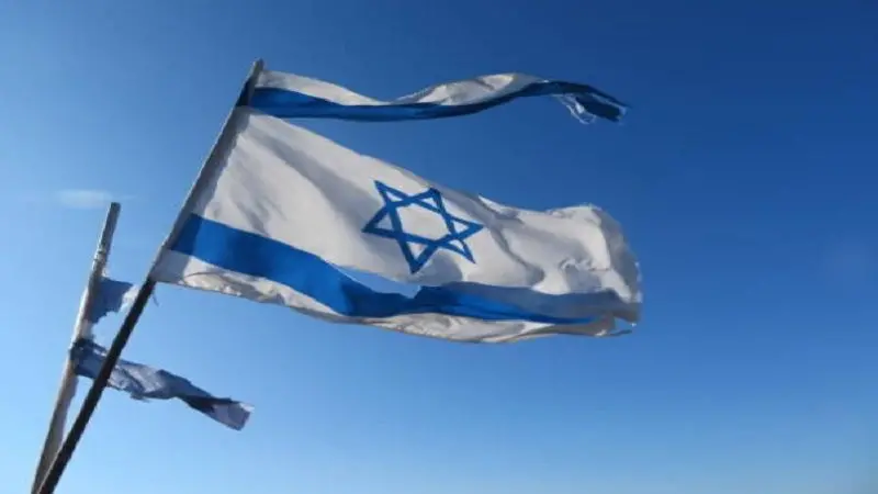 الوسط نيوز